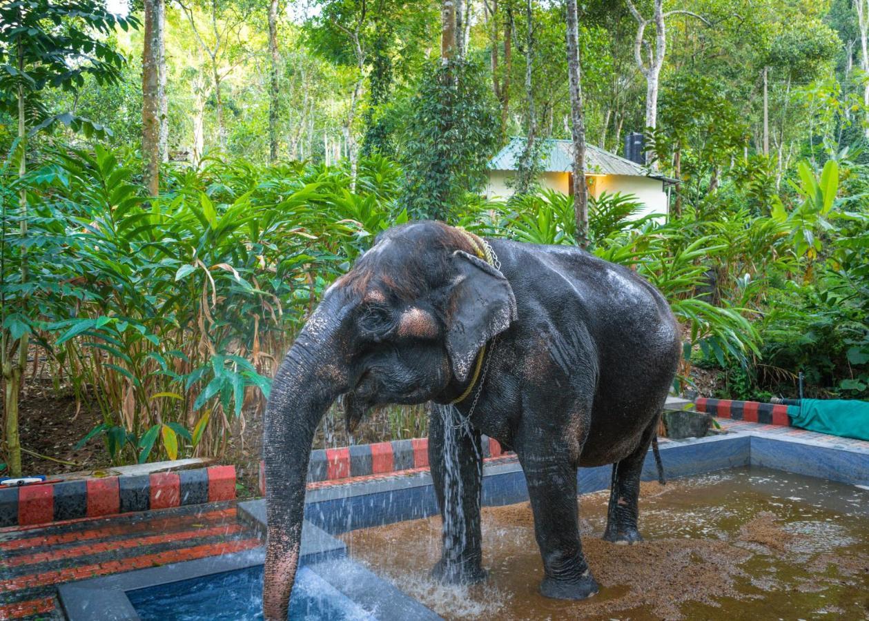 Amritara Shalimar Spice Garden Resort & Spa Теккади Экстерьер фото