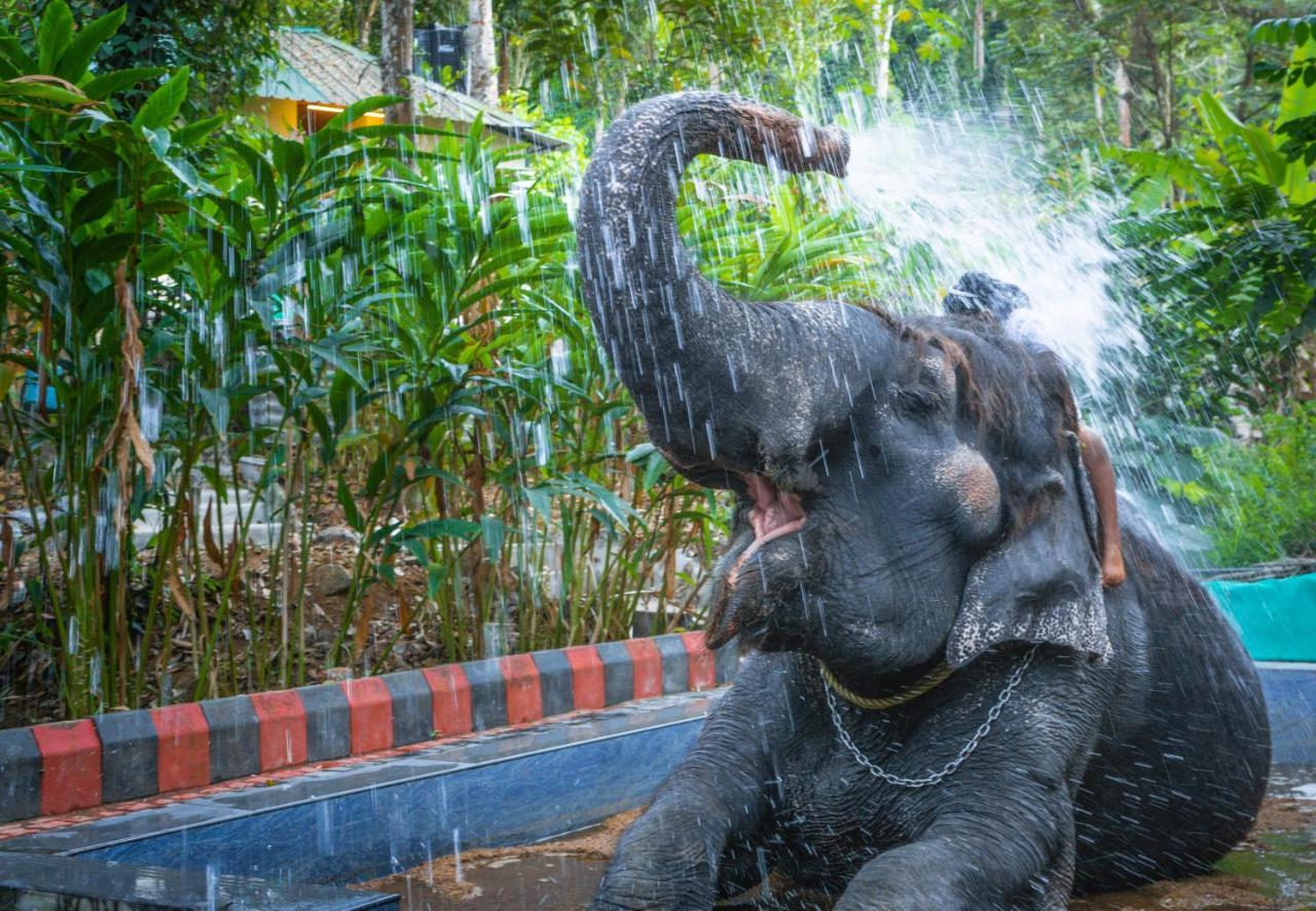 Amritara Shalimar Spice Garden Resort & Spa Теккади Экстерьер фото